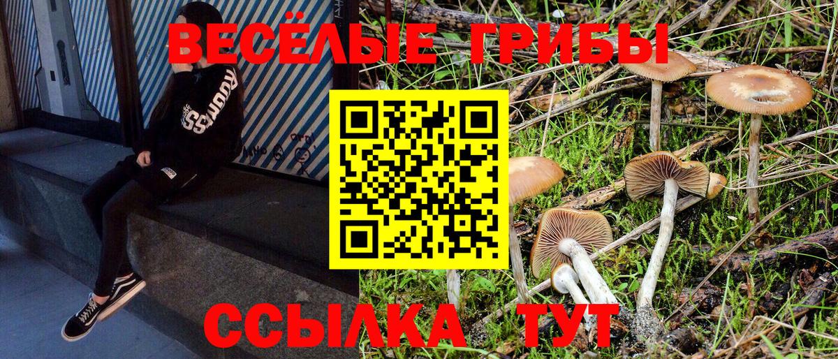 Галлюциногенные грибы MAGIC MUSHROOMS  Галлюциногенные грибы Psilocybe  Вход с VPN  Юрга 
