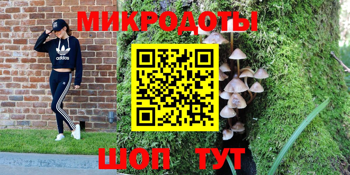 Галлюциногенные грибы Psilocybine cubensis Юрга
