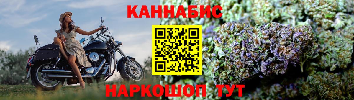 Конопля Bruce Banner Юрга